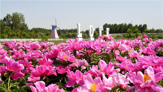 香草園拓展基地